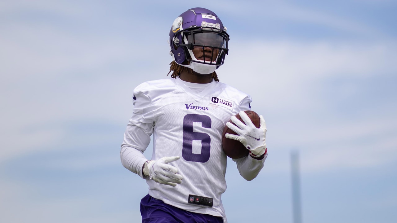 Minnesota Vikings safety Lewis Cine (6) in action during the NFL