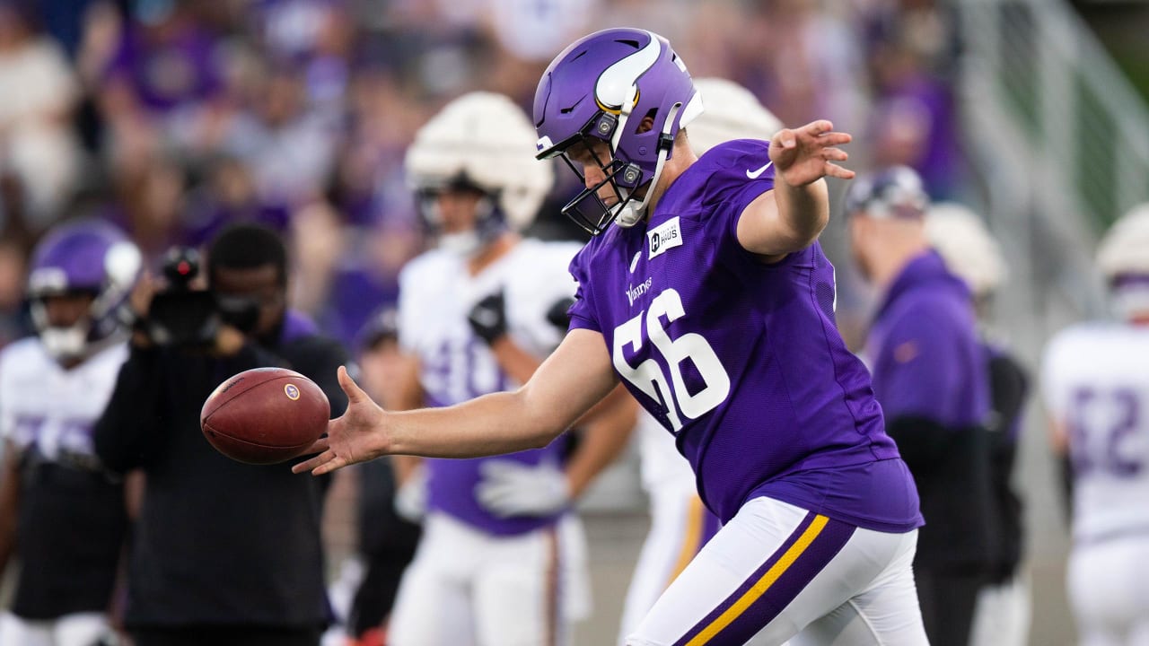 minnesota vikings punter wright