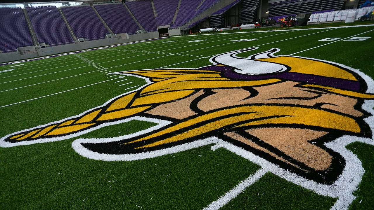 minnesota vikings field