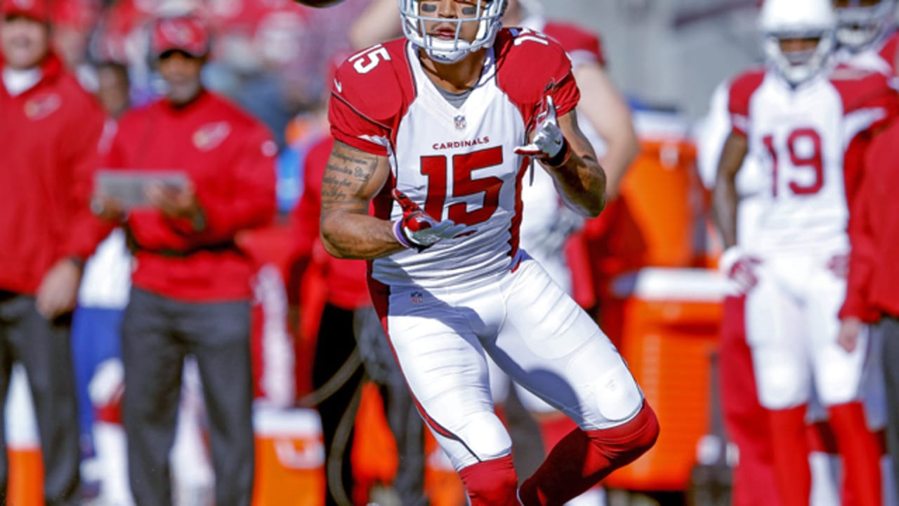 5 Things to Know About New Vikings WR Michael Floyd