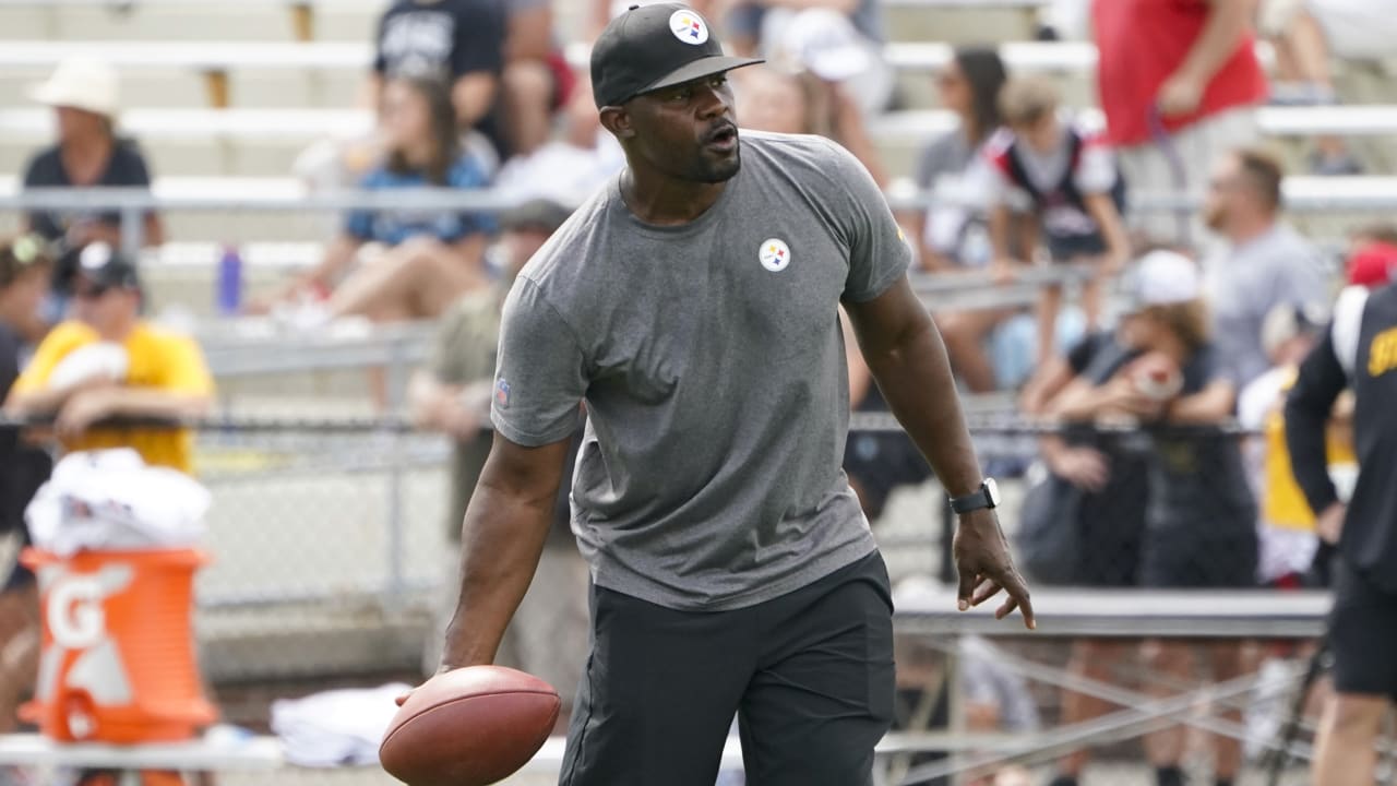 Minnesota Vikings on X: We have completed an interview with Steelers  Senior Defensive Assistant and Linebackers Coach Brian Flores for our open  defensive coordinator position.  / X