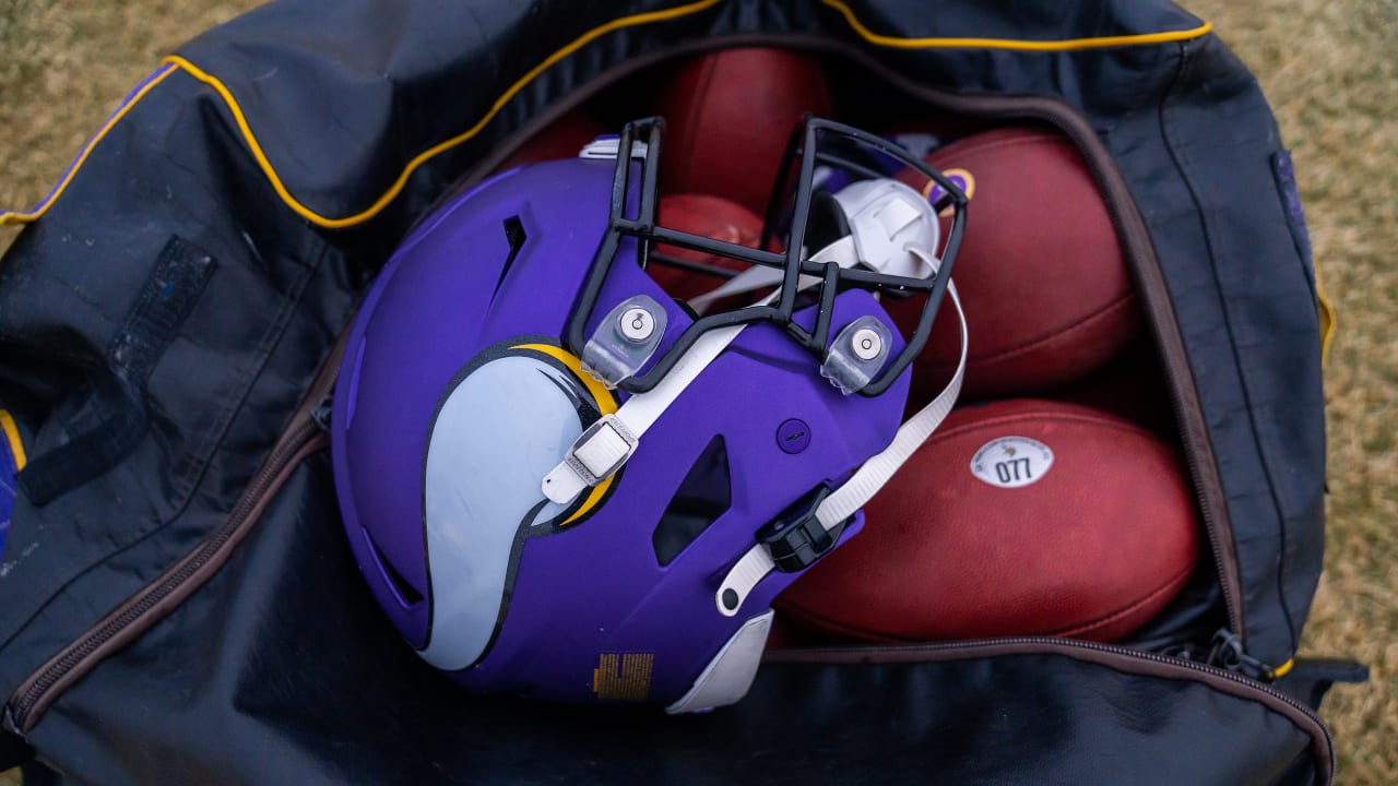 Minnesota Vikings NFL Action Backpack