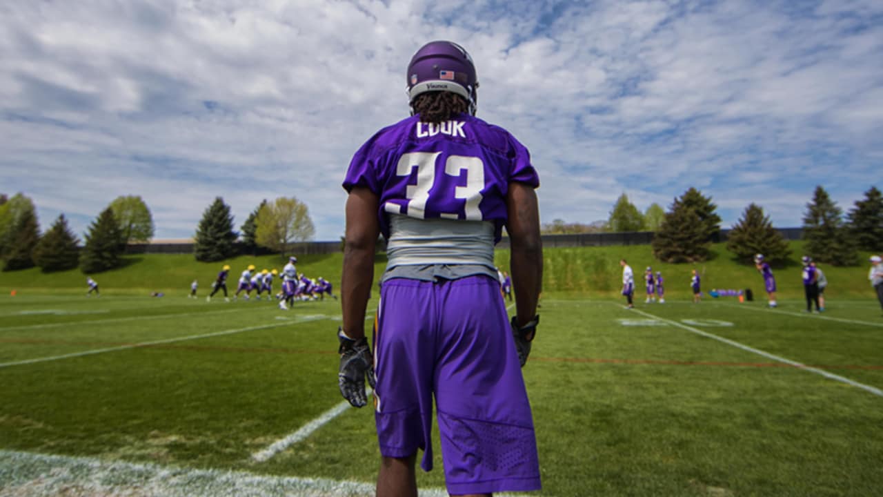 Lunchbreak Polamalu Wants Cook to Join Group of Honored Vikings RBs