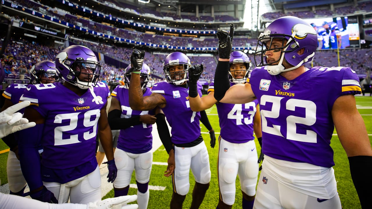 Minnesota Vikings Roster Outlook: The Defense