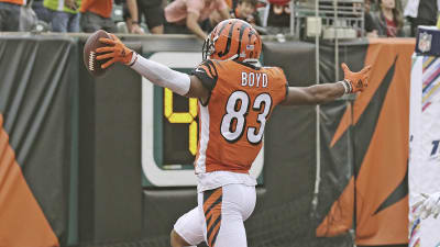 Cincinnati Bengals: Dynamic Running Duo Key to Success