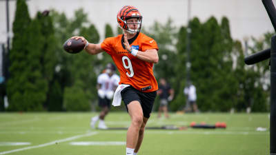 Bengals have 'mini-scuffle' on first day of training camp before