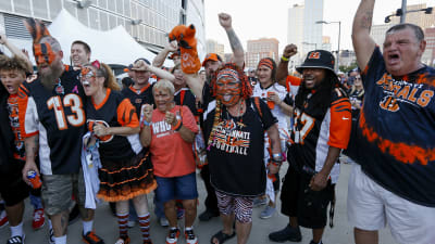 Forty Years Of Fan Connections Form The Vines Of Bengals' Jungle