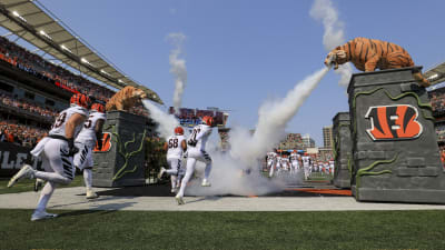 Bengals Ring of Honor Game Set for Monday Night Football