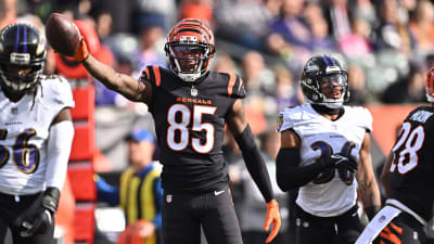 Cincinnati Bengals wide receiver T.J. Houshmandzadeh (L) is