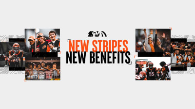 Bengals unveil new perks for season-ticket holders - Cincy Jungle