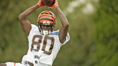 Cincinnati Bengals wide receiver Mike Thomas (80) walks onto the field  during an NFL football game against the Jacksonville Jaguars, Thursday,  Sept. 30, 2021, in Cincinnati. (AP Photo/Emilee Chinn Stock Photo - Alamy