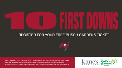 How To Get Your Free Busch Gardens Ticket After The Bucs Score Big