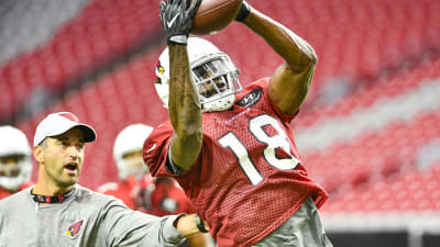 Receiver Greg Little making an impression at Cardinals camp