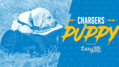 The Los Angeles Chargers have teamed up with Canine Companions for  Independence to follow a puppy named Bolt on his journey to becoming an  assistance dog.