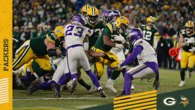 NFC North: Minnesota Vikings, Green Bay Packers tie, 29-29