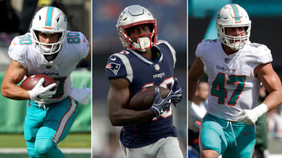 Miami Dolphins 2018 Training Camp Fan Primer - CBS Miami