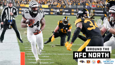 Pittsburgh, Pennsylvania, USA. 20th Nov, 2022. November 20th, 2022  Cincinnati Bengals running back Joe Mixon (28) and Cincinnati Bengals  running back Samaje Perine (34) celebrate after scoring a touchdown during  Pittsburgh Steelers