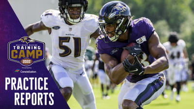 Devin Duvernay is 'much improved' and eager for a larger role on offense -  Baltimore Beatdown