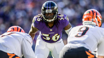 Ravens Linebacker Josh Bynes Thriving In Familiar Surroundings - PressBox