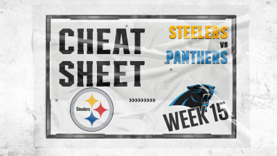 5 key stats from the Panthers' Week 15 loss to the Pittsburgh Steelers -  Cat Scratch Reader