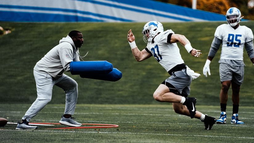 My Detroit Lions  Detroit lions football, Detroit lions, Lions