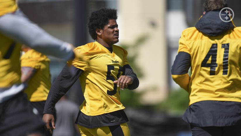 Steelers Live Video Archive 