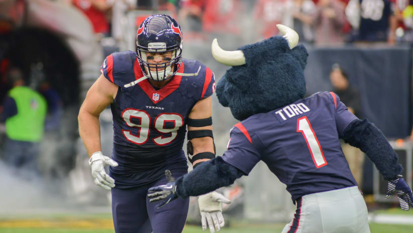 Toro Houston Texans Houstontexanscom