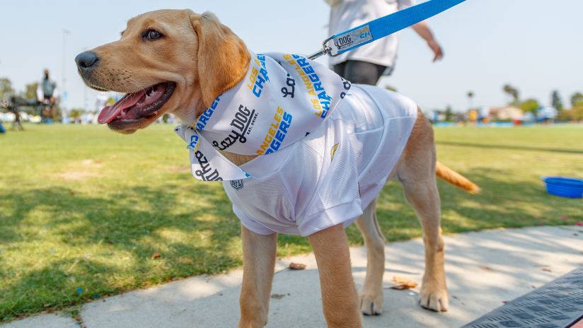 Los Angeles Chargers NFL Dog Jersey