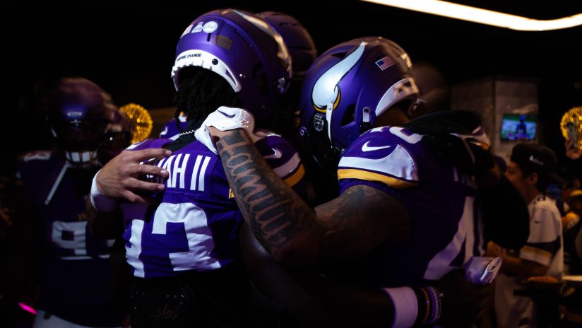 3,453 Minnesota Vikings Fans Stock Photos, High-Res Pictures, and