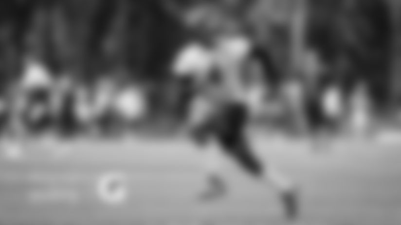 Check out the action from Halas Hall as the Bears hit the practice fields during their full-squad minicamp.