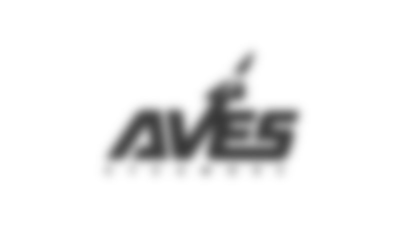 190916-sycamore-aves-logo