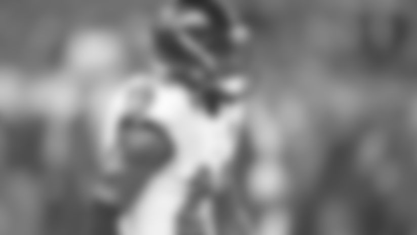 Ravens Hall-of-Fame safety Ed Reed mentored a young Josh Bynes.