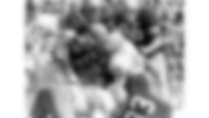 The Bengals' first season in franchise history occurred in 1968, with head coach Paul Brown leading the charge at Nippert Stadium