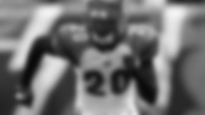 Reggie Nelson had Big Ben's number and it was six.