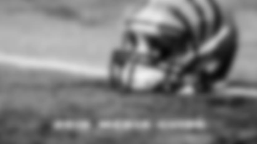 Cincinnati Bengals 2015 Media Guide