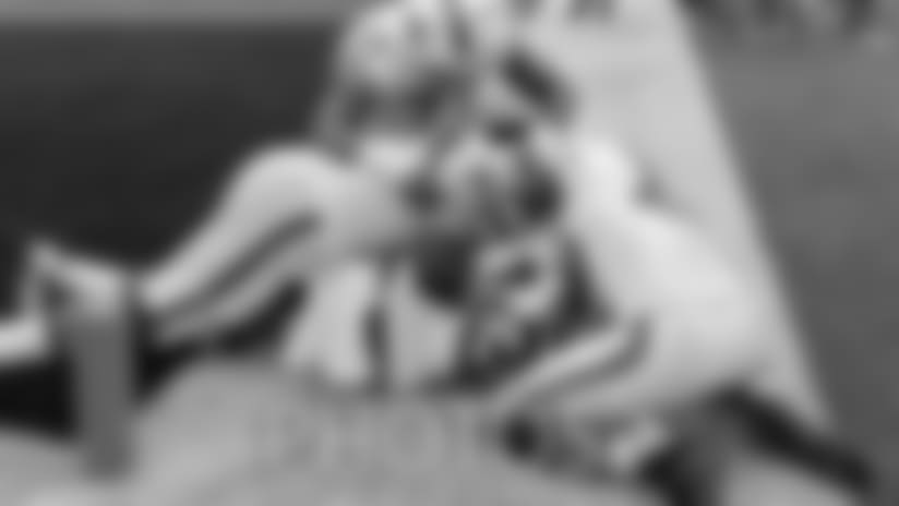 photos-panthers-embed.jpg