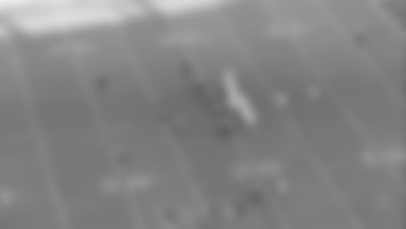 112817_crow1_600.jpg