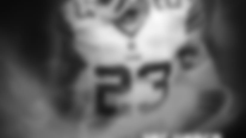 allpro_haden_200.jpg