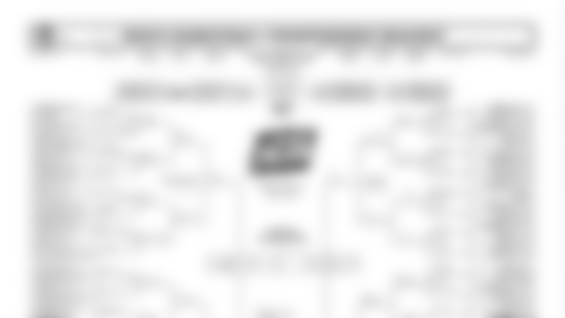 031915-hawkins-bracket.jpg