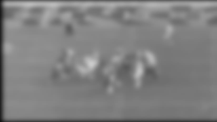 112817_crow3_600.jpg