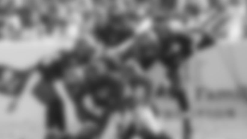 Falcons03_31_14_1_a.jpg