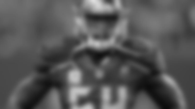 Matchups-Rams-David.jpg