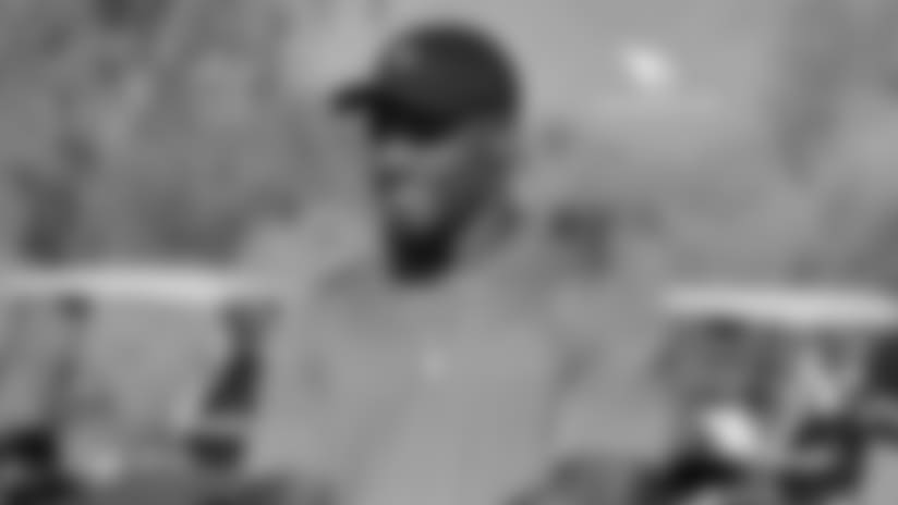 RB David Johnson