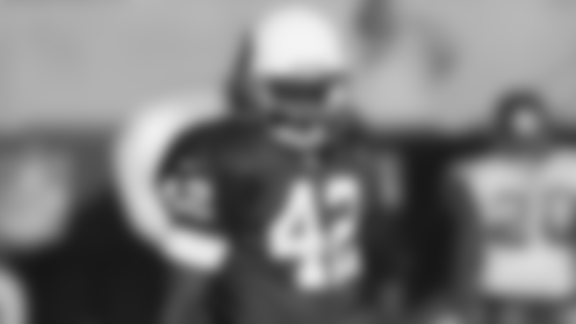 Red Sea Report - Who Is On The Coaching Radar?