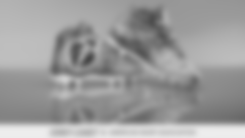 LAC_2018_MCMC_Liuget