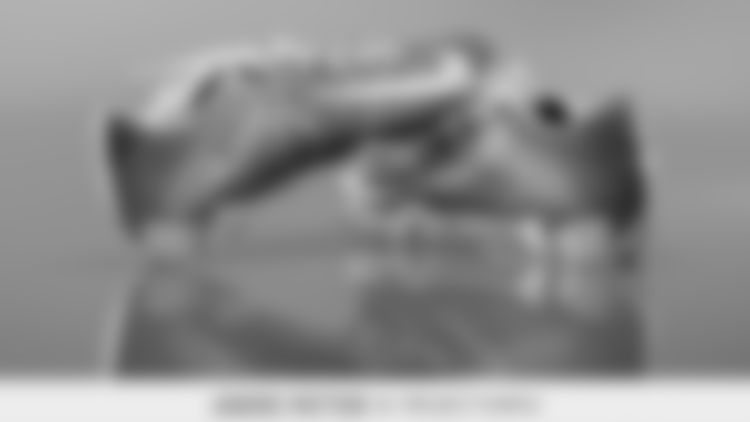 LAC_2018_MCMC_Patton