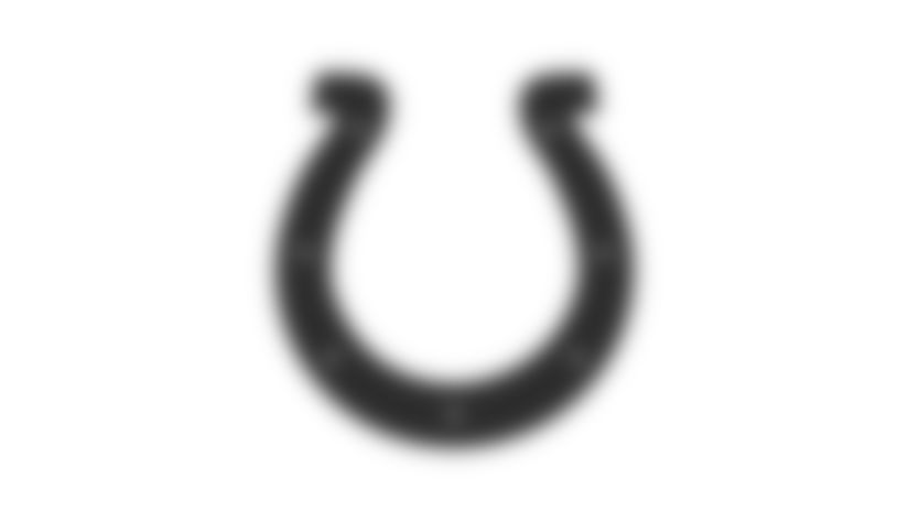 classic-horseshoe