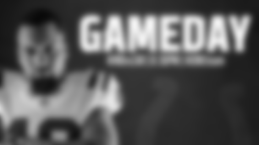 Gameday_Panthers_Article-1.jpg