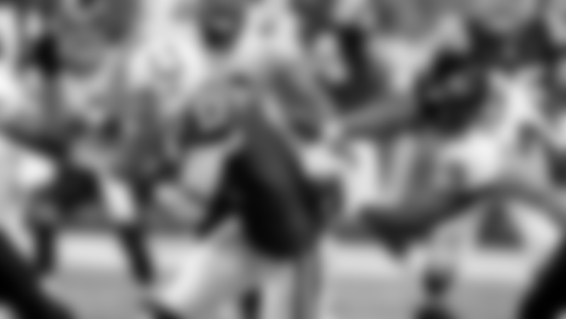 Collie_Austin_1_16_10_Bal.jpg