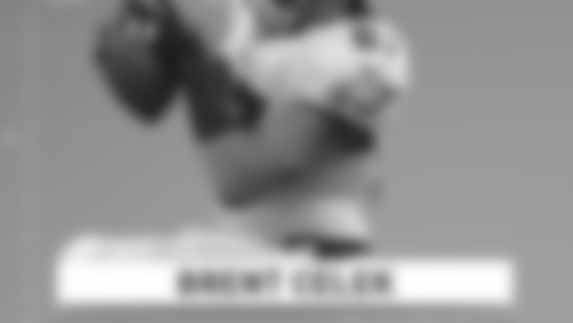 fastfactsbrentcelek.jpg